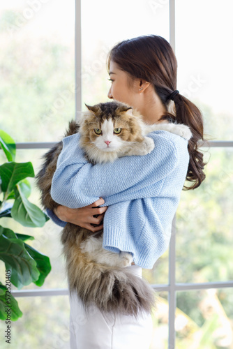 Millennial Asian young female owner standing smiling holding showing love playing with cute fat tabby long hair little domestic kitty furry purebred pussycat pet friend in arms in living room at home