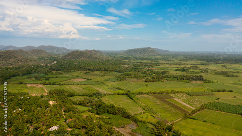Aerial drone of agricultural land with green plantings in the rural area. Sri Lanka.