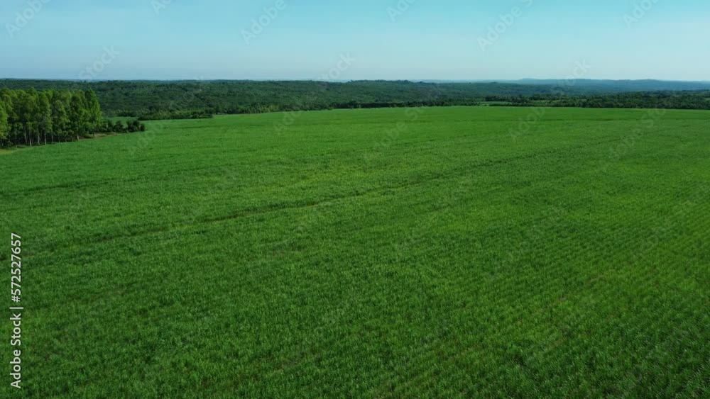 Overtake Shot Of Wide Plantation Fields In Piribeby City, Paraguay Overtake Shot Of Wide Plantation Fields In Piribeby City, Paraguay