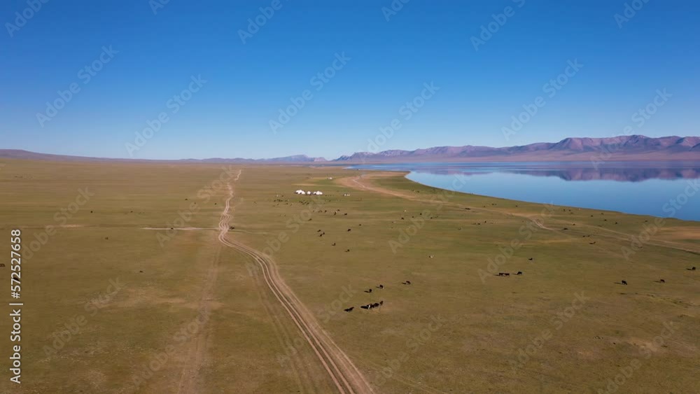 Rotating epic drone shot of the small yurt village and a large team of horses beside the Song-Kol lake in Kyrgyzstan Rotating epic drone shot of the small yurt village and a large team of horses beside the Song-Kol lake in Kyrgyzstan