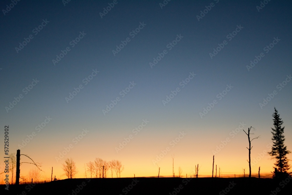 Dawn in the north woods