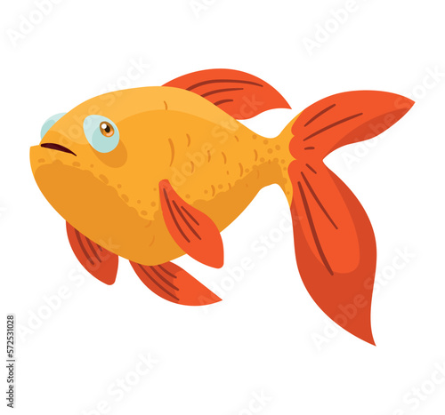 ornamental gold fish swiming
