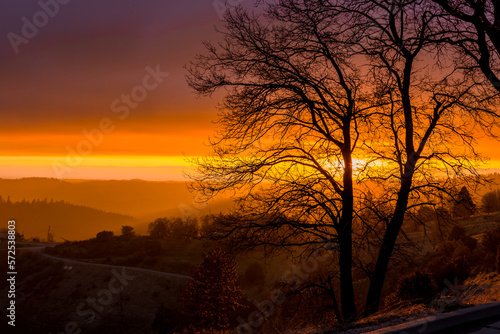 Beautiful dramatic sky at sunset. Silhouetted tree on the foreground