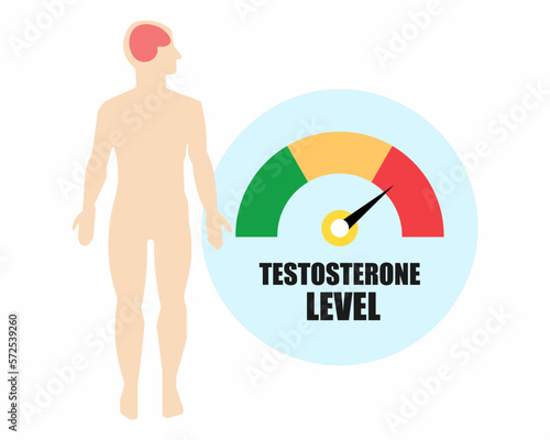 Hormone testosterone level measuring scale, indicate high level of testosterone, health care and medical vector illustration.