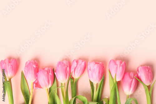 Fototapeta Naklejka Na Ścianę i Meble -  Blooming tulip flowers on pink background