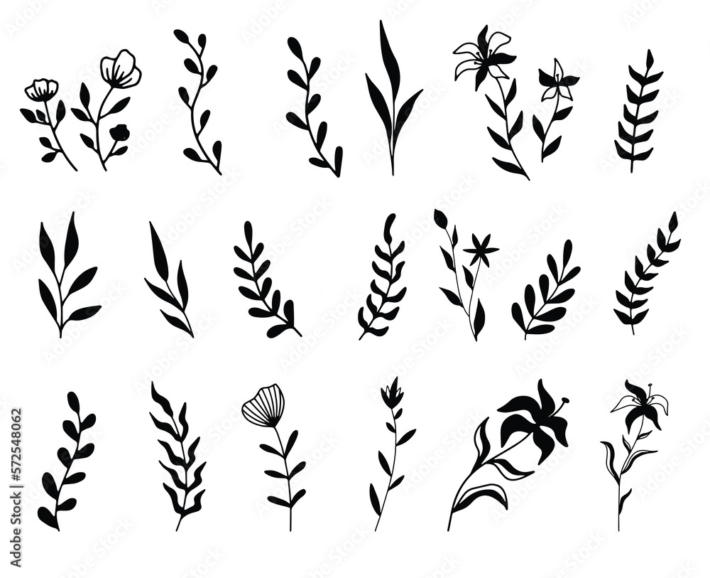 Spring Botanical leaves and flowers elements isolated vector Silhouettes Spring Botanical leaves and flowers elements isolated vector Silhouettes