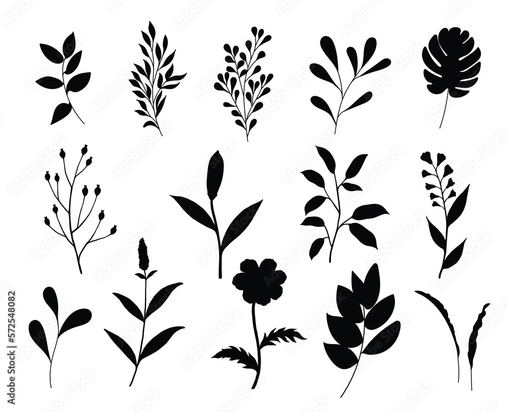 Spring Botanical leaves and flowers elements isolated vector Silhouettes Spring Botanical leaves and flowers elements isolated vector Silhouettes