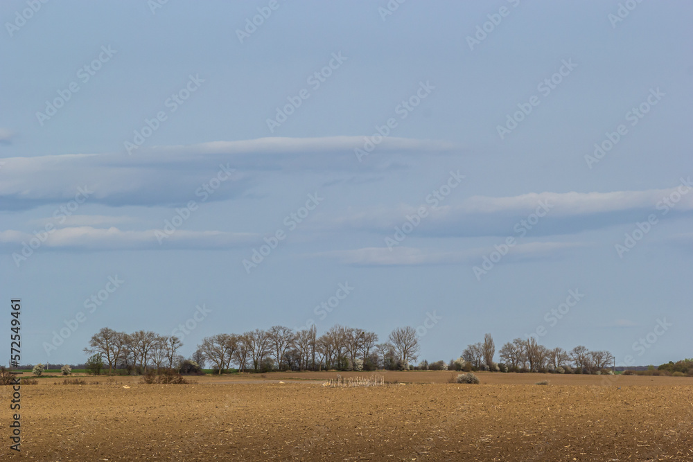 plowed fields, several trees in the distance on the horizon line, copy space, horizontal