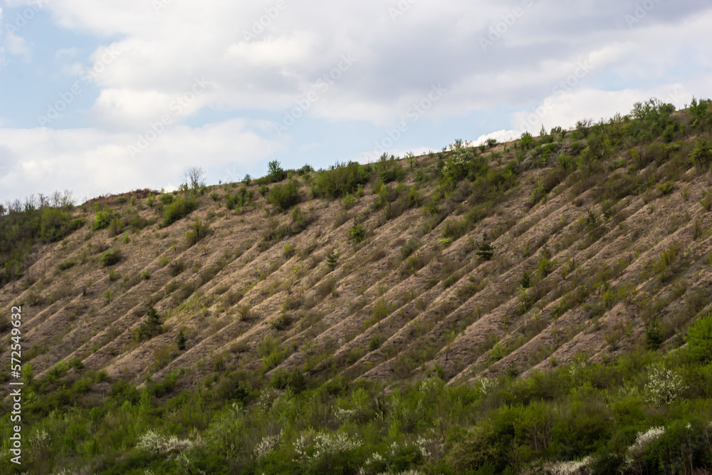 View ravine covered with greenery. Landscape valley with geological ...