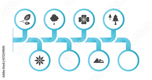 editable filled icons with infographic template. infographic for nature concept. included branch, beech, wallflower, anthurium, cedar, clematis, bluebell, snowslide icons.