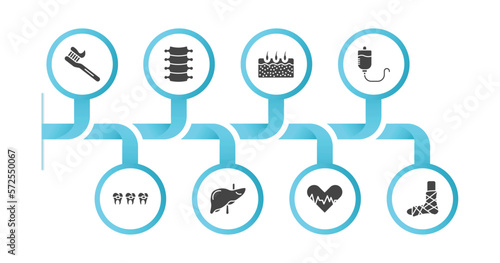 editable filled icons with infographic template. infographic for medical concept. included tooth brush, spinal column, epidermis, transfusion, braces, liver, cardiogram, plastered foot icons.