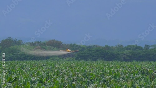 A low-flying airplane spraying a pesticide over the trees of a banana plantation; fumigation is the removal of harmful bugs by poisoning or suffocating them. Slow motion shot.
 photo