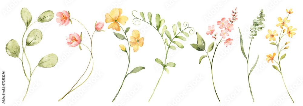 Wild flowers and leaves digital illustration, flowers and leaf perfectly for printing, sublimation.