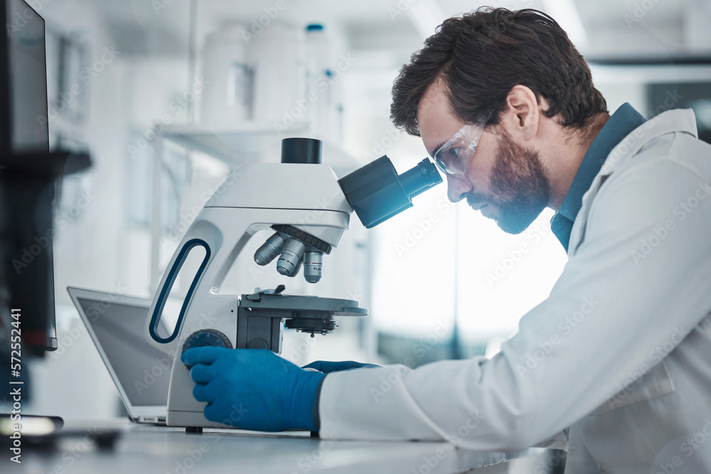 Medical, microscope and laboratory research of expert checking health sample for bacteria study. Chemistry lab, biotechnology and scientist working on chemical innovation and dna analytics Medical, microscope and laboratory research of expert checking health sample for bacteria study. Chemistry lab, biotechnology and scientist working on chemical innovation and dna analytics
