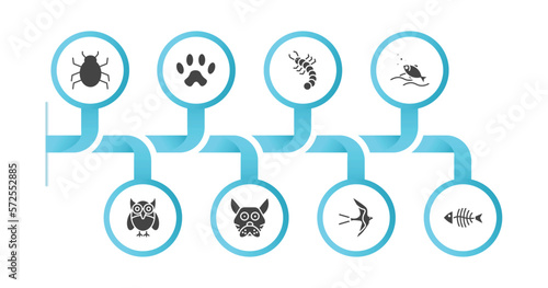 editable filled icons with infographic template. infographic for animals concept. included app bug, paw, grub, fishes in the ocean, big eyes owl, japanese cat head, swallow, fish bones icons. photo