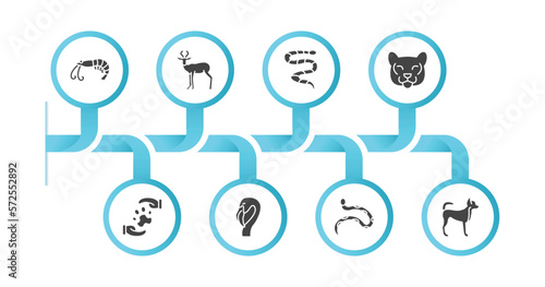 editable filled icons with infographic template. infographic for animals concept. included prawn, antelope, coral snake, cougar, pet care, flamingo, copperhead, puppy icons.