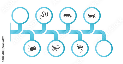 editable filled icons with infographic template. infographic for animals concept. included crow  cottonmouth  rhinoceros  kitten  hamster  alligator  iguana  blindworm icons.