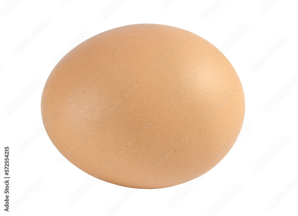Chicken egg isolated on white background. Chicken egg isolated on white background.