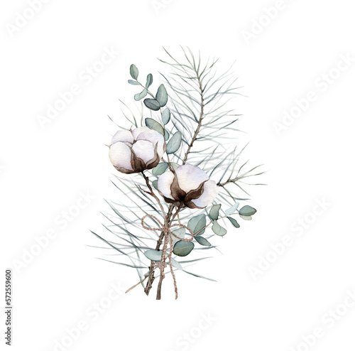 pine branch wiht the cones, green eucalyptus leaves, cotton watercolor isolated image on white background. It can be used for children's book illustration, design of postcards, holiday paper