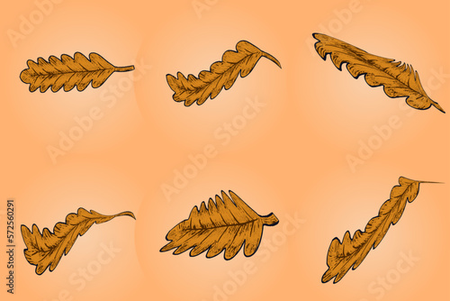 Set of autumn brown leaves - fallen leaf