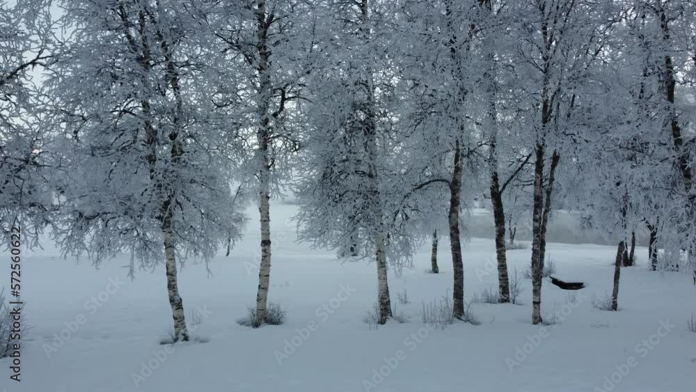 snow and frost covered trees in the northern nature panning right snow and frost covered trees in the northern nature panning right