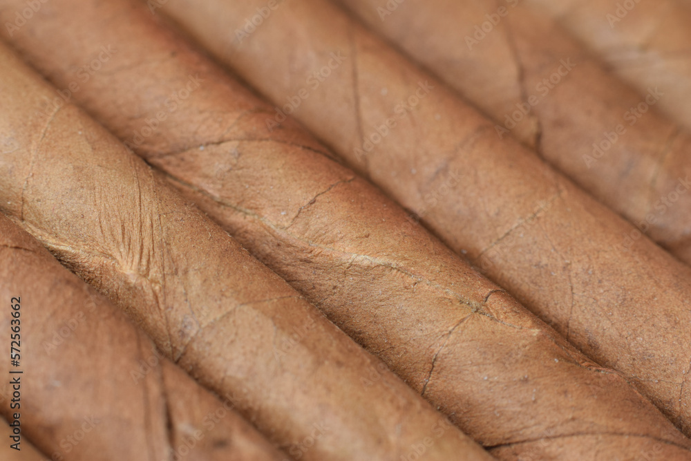 Handmade thin tobacco cigars or cigarette macro background Handmade thin tobacco cigars or cigarette macro background