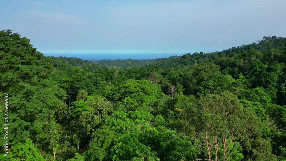 Aerial view over Sao Tome green biosphere forest with the ocean as background,Africa Aerial view over Sao Tome green biosphere forest with the ocean as background,Africa