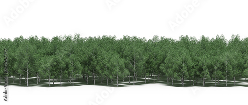 forest line with shadows under the trees, isolated on transparent background, 3D illustration, cg render 