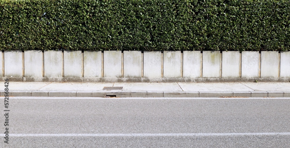 custom made wallpaper toronto digitalHouse fence consisting by a long concrete rectangle block wall and a hedge above. Cement sidewalk and asphalt street in front. Background for copy space