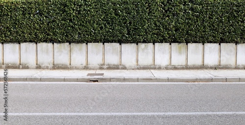 Fototapeta House fence consisting by a long concrete rectangle block wall and a hedge above