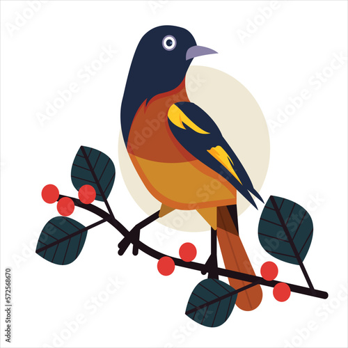 bullfinch on a branch.bird on a branch.