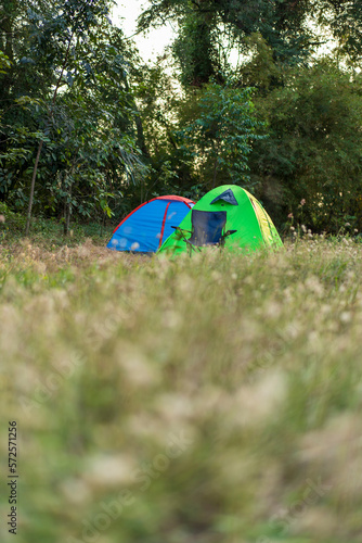 Camping green and blue tent in forest background. Camping concept.