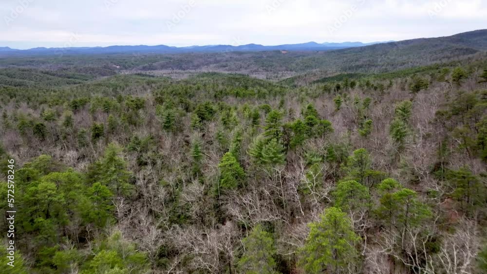 aerial over pine and hardwood forest in the pisgah national forest in nc, north carolina aerial over pine and hardwood forest in the pisgah national forest in nc, north carolina