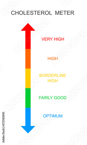 Cholesterol meter vertical scale. Atherosclerosis, hyperlipidemia, hypercholesterolemia risk chart. Lipoprotein levels from optimum to very high isolated on white background. Vector flat illustration