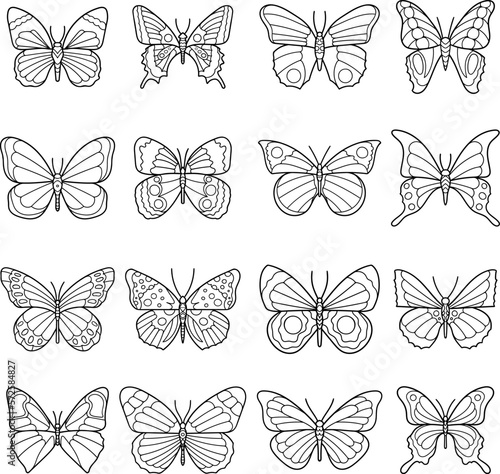 Hand drawn vector butterfly set. Doodle style, line art. Black and white illustrations

