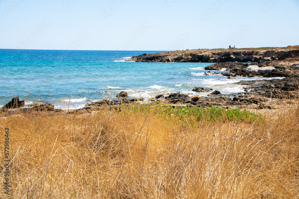 Vendicari Nature Reserve wildlife oasis Vendicari Nature Reserve wildlife oasis