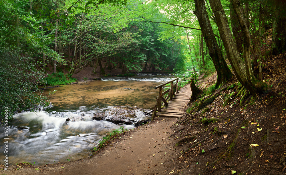 Obraz premium A footbridge over the river over the waterfalls on the Tanew River