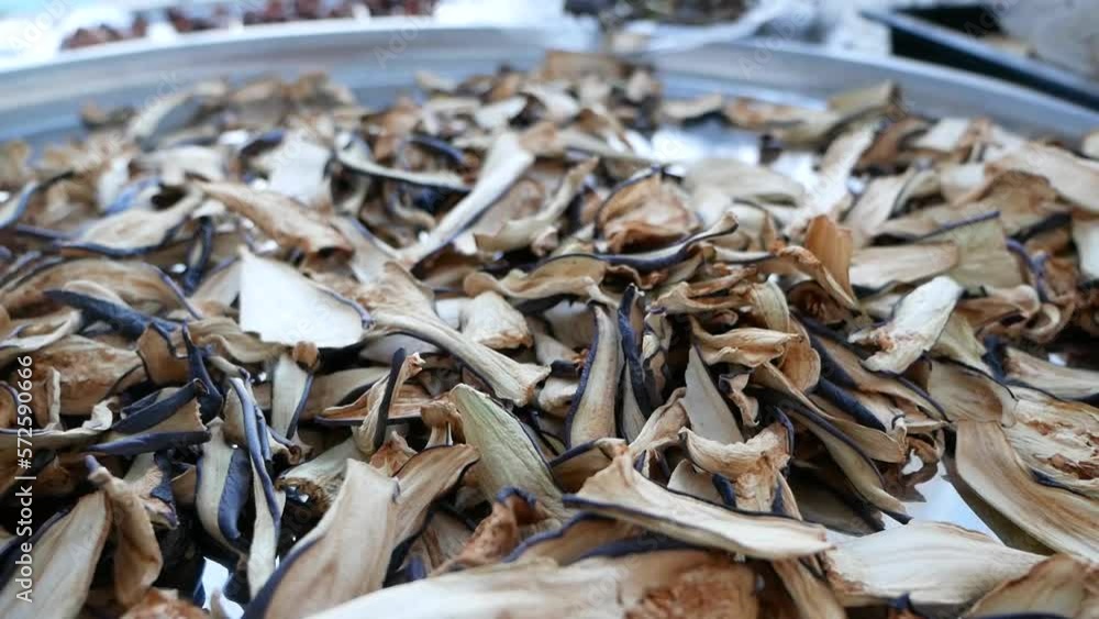 Sliced dry aubergines dried in the sun, dried eggplant slices, drying eggplant, dried foods, Sliced dry aubergines dried in the sun, dried eggplant slices, drying eggplant, dried foods,