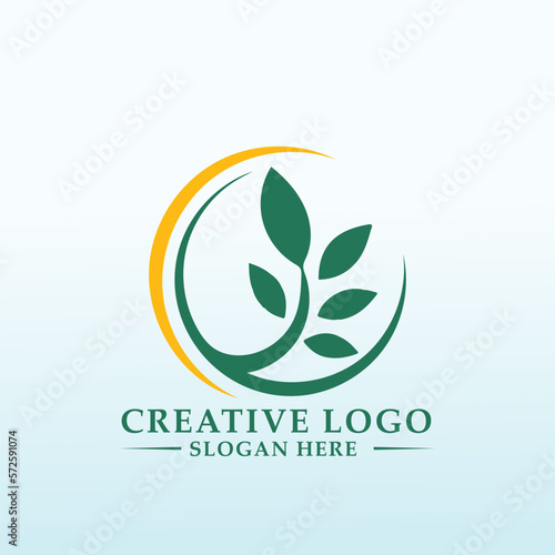 Logo design for hemp Produce Company