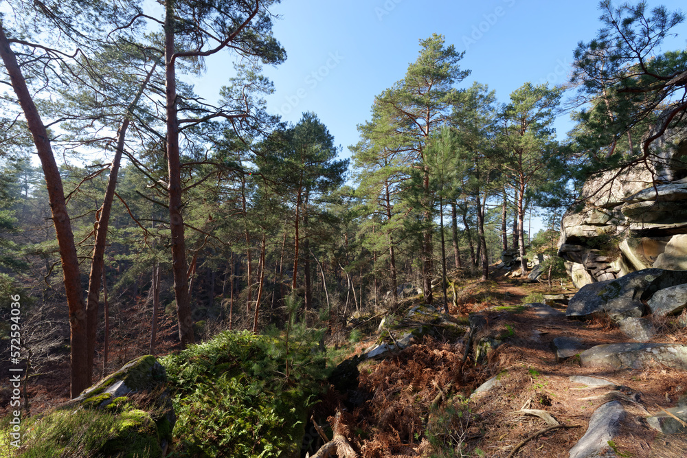 Boulders of the Demoiselles rock in fontainebleau forest Boulders of the Demoiselles rock in fontainebleau forest