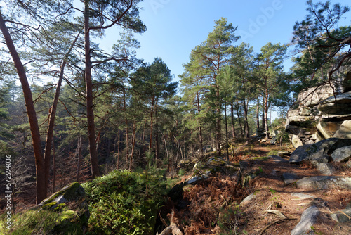 Boulders of the Demoiselles rock in fontainebleau forest