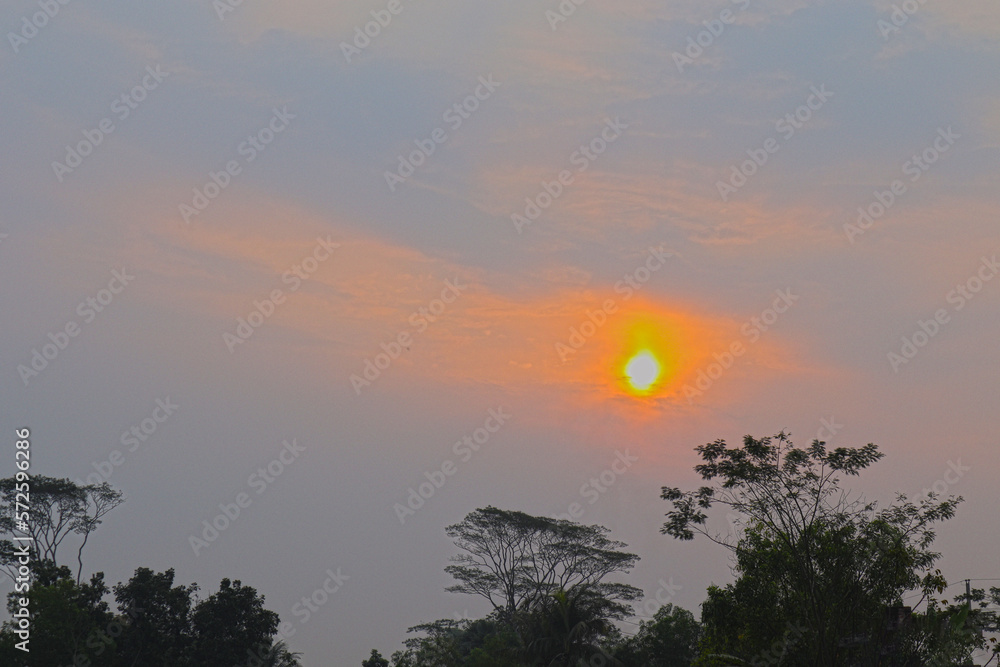 Obraz premium Sunset in a village's sky. Sunset behind the trees. Evening beautiful sky.