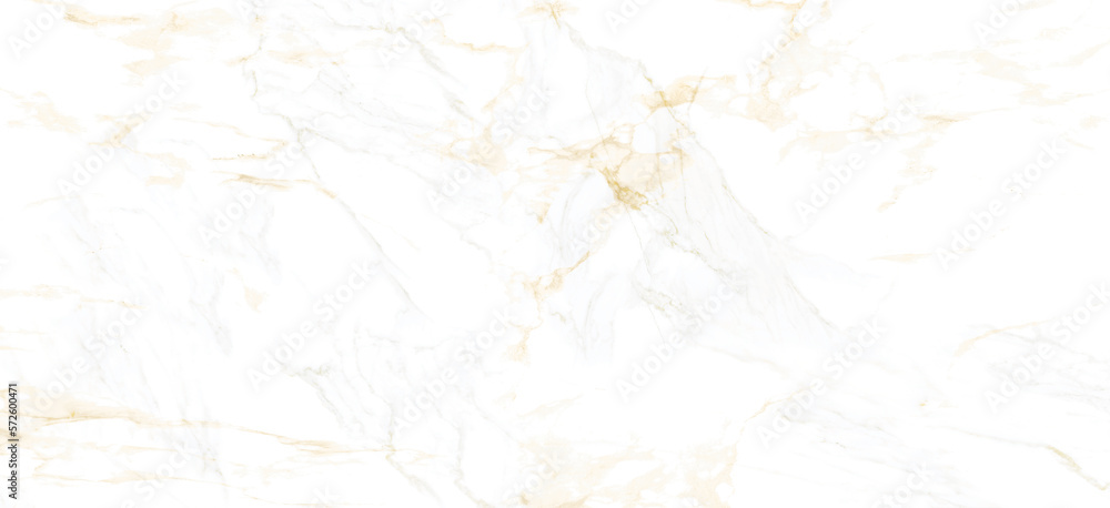 Vector gold marble realistic texture pattern background. Luxury white