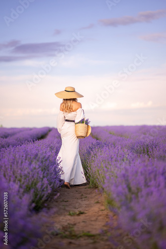girl in walks in a field of lavender. A beautiful woman with a basket of flowers . View from the back