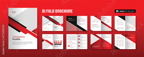 Company Profile Business Annual Report Bifold Brochure Template Design