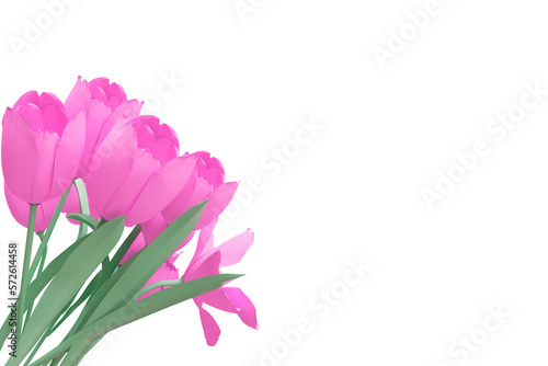 Fototapeta Naklejka Na Ścianę i Meble -  Pink tulip floral banner cutout