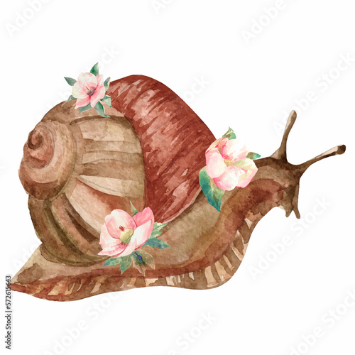 Watercolor snail illustration with flowers isolated on white photo