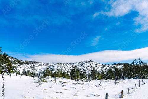 北八ヶ岳 坪庭の雪景色