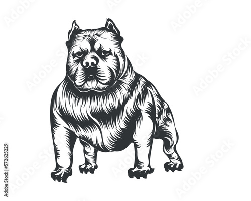 Fototapeta Naklejka Na Ścianę i Meble -  American Bully Dog Vector Illustration, Bully Dog Vector Black on White Background