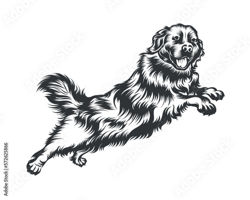 Bernese Mountain Dog Vector Illustration, Dog Vector Black on White Background